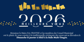affiche voeux du maire